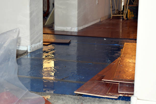 Professional Basement Flood Cleanup technician working in Delavan, WI